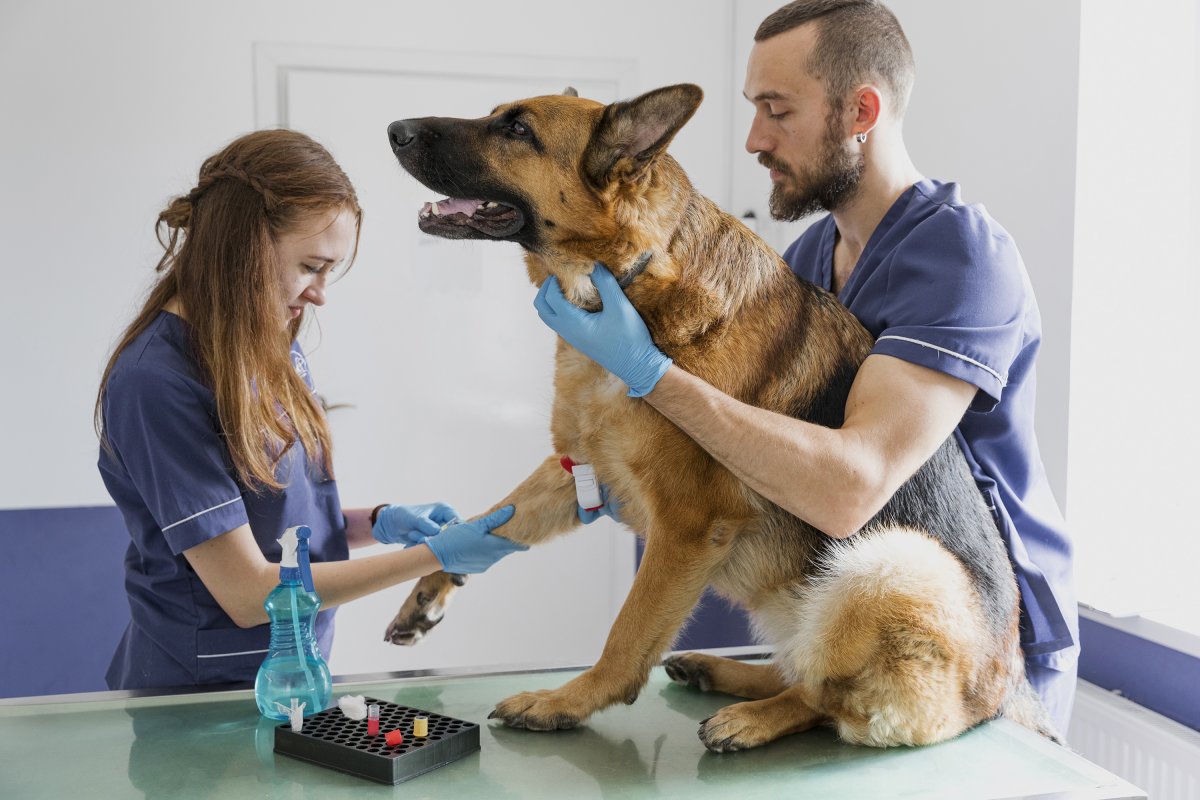 Мультяшные ветеринары и врачи