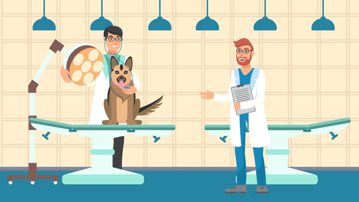 Всемирный день ветеринара