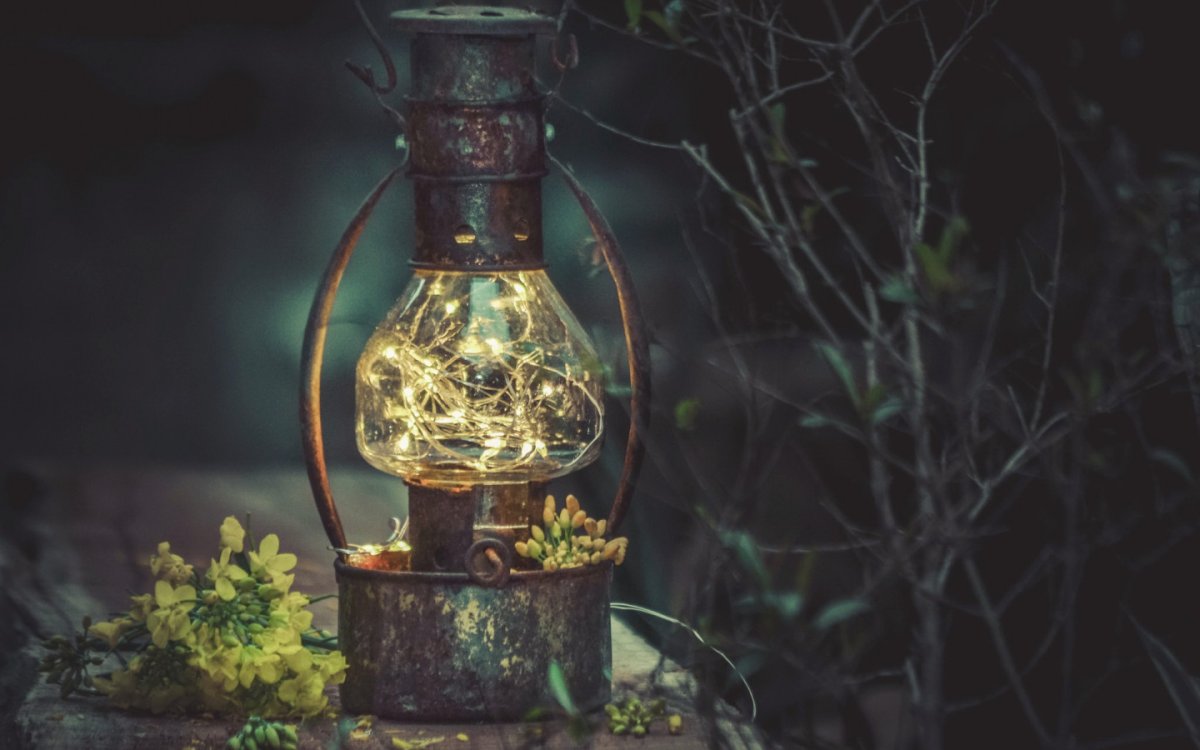 Керосиновая лампа в лесу
