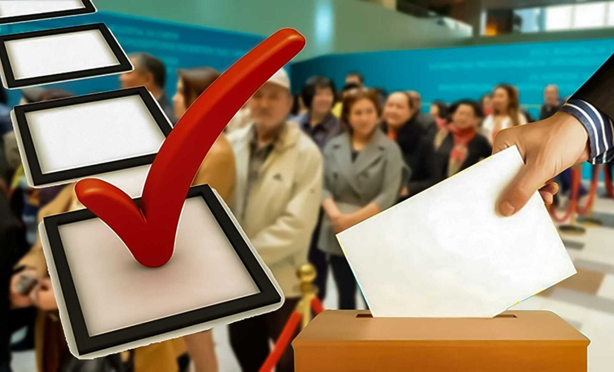 Политические выборы