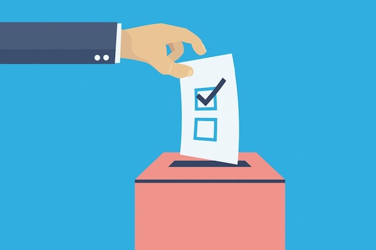 Выборы гифка