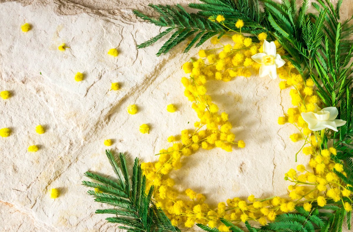 Сердечки из мимозы