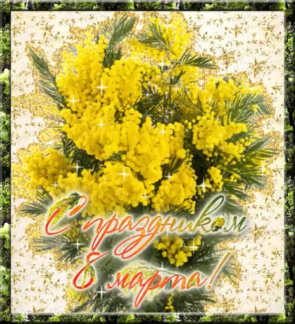 Букет мимозы