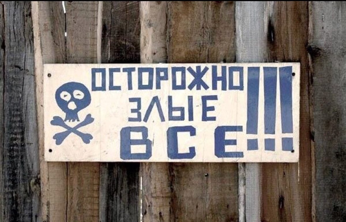 Добро пожаловать в сумасшедший дом