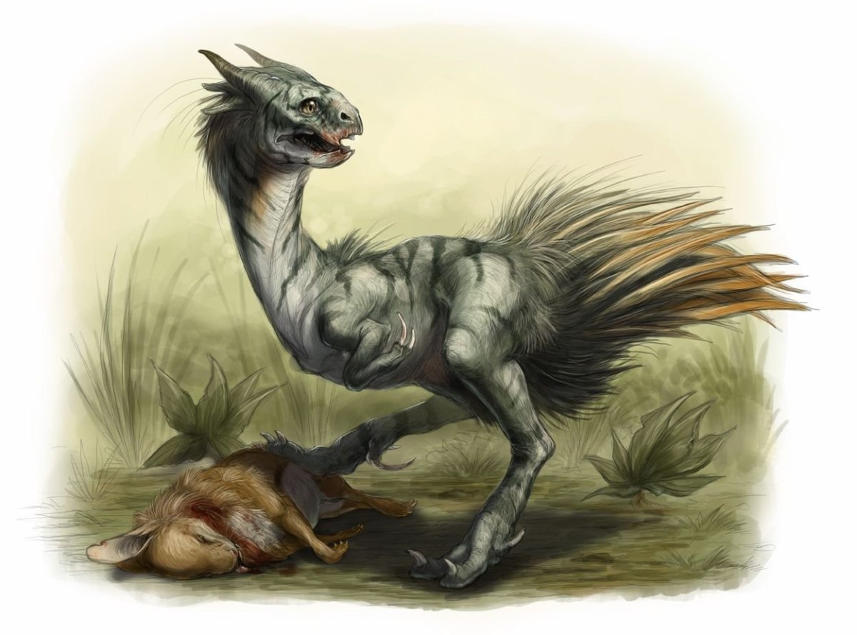 Амарок мифическое существо