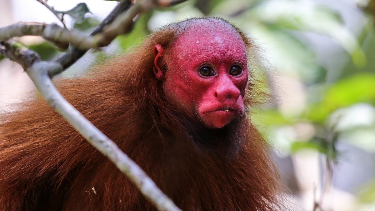 Смешные мемы про жару