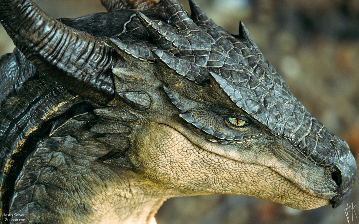 Дракон реалистичный