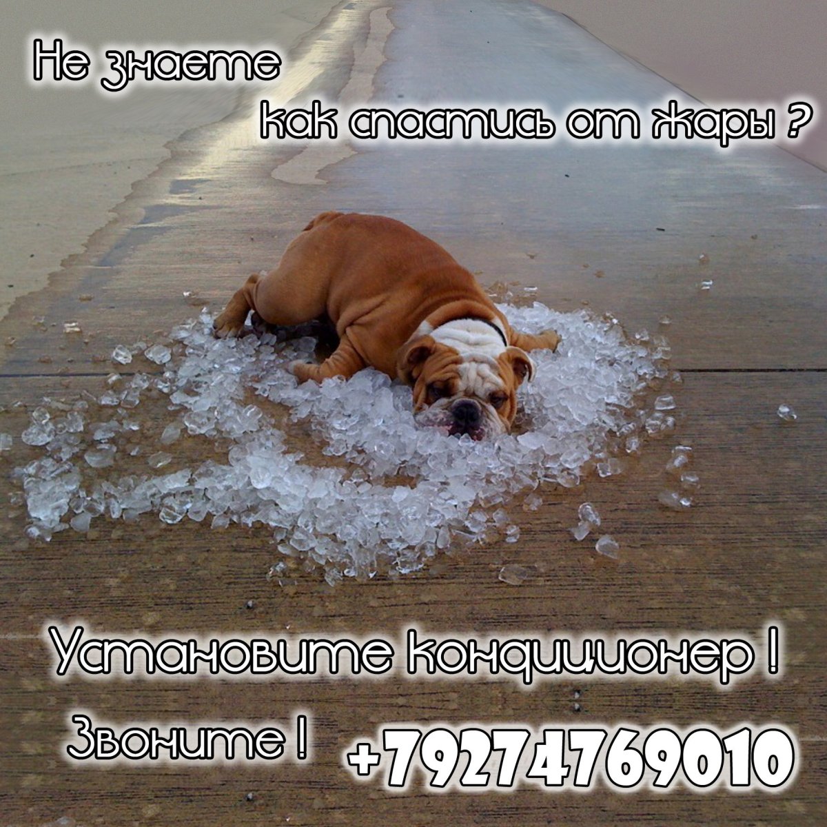 Шутки про жару