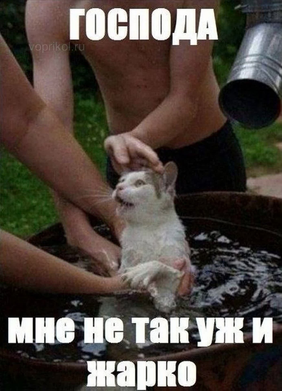 Жара прикол