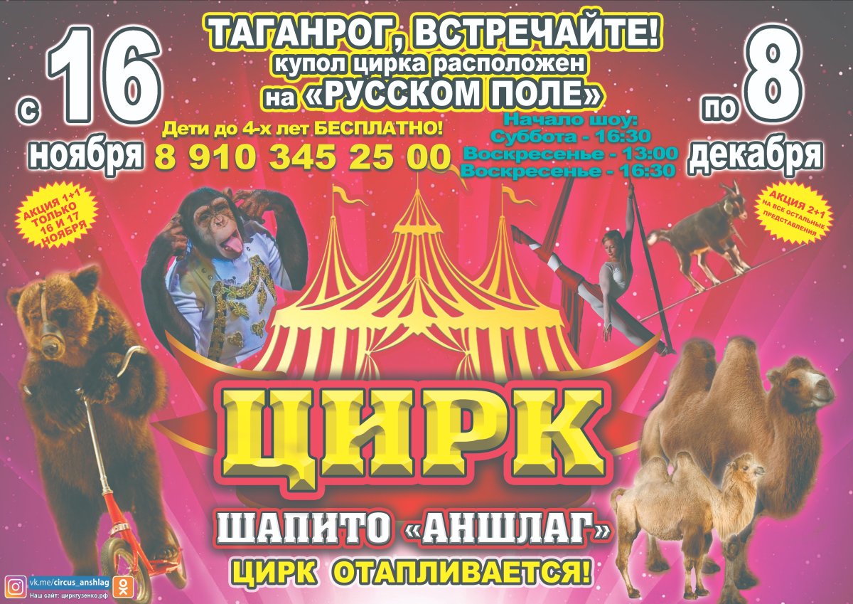 Цирк шапито аншлаг Андрея Гузенко