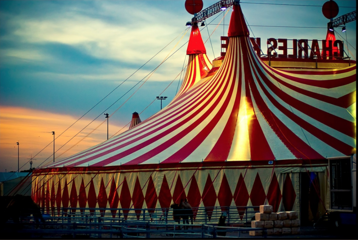 Цирк шапито, шатер