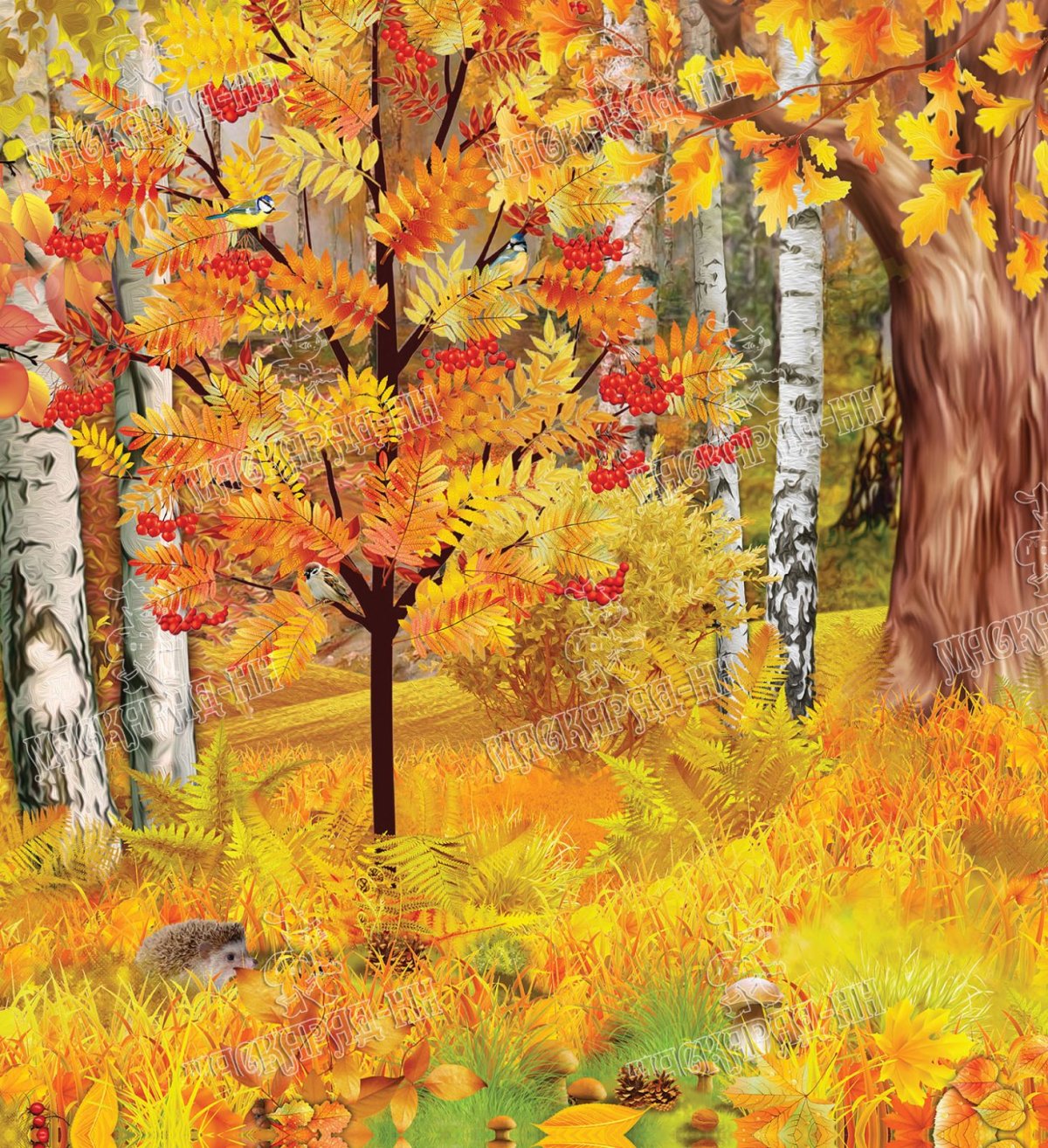 Осенний лес для детей