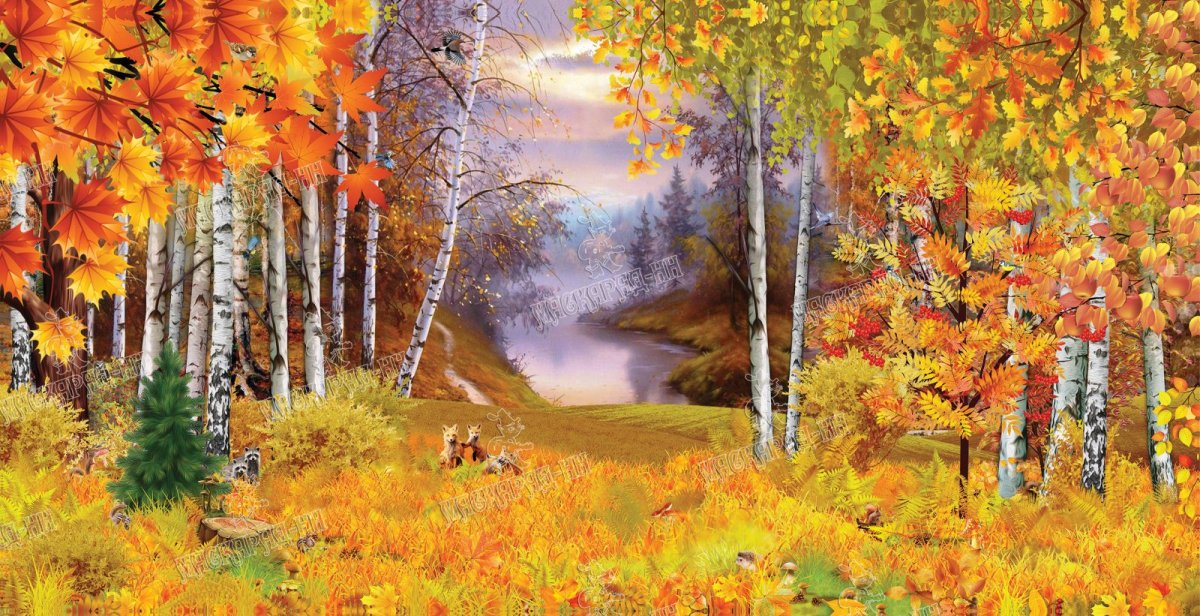 Осенний лес для детей