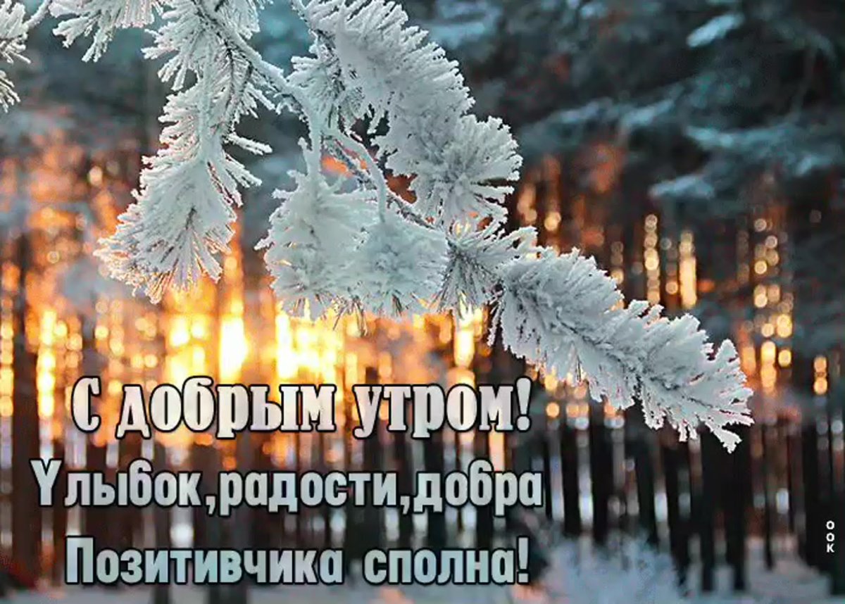 Букет на снегу