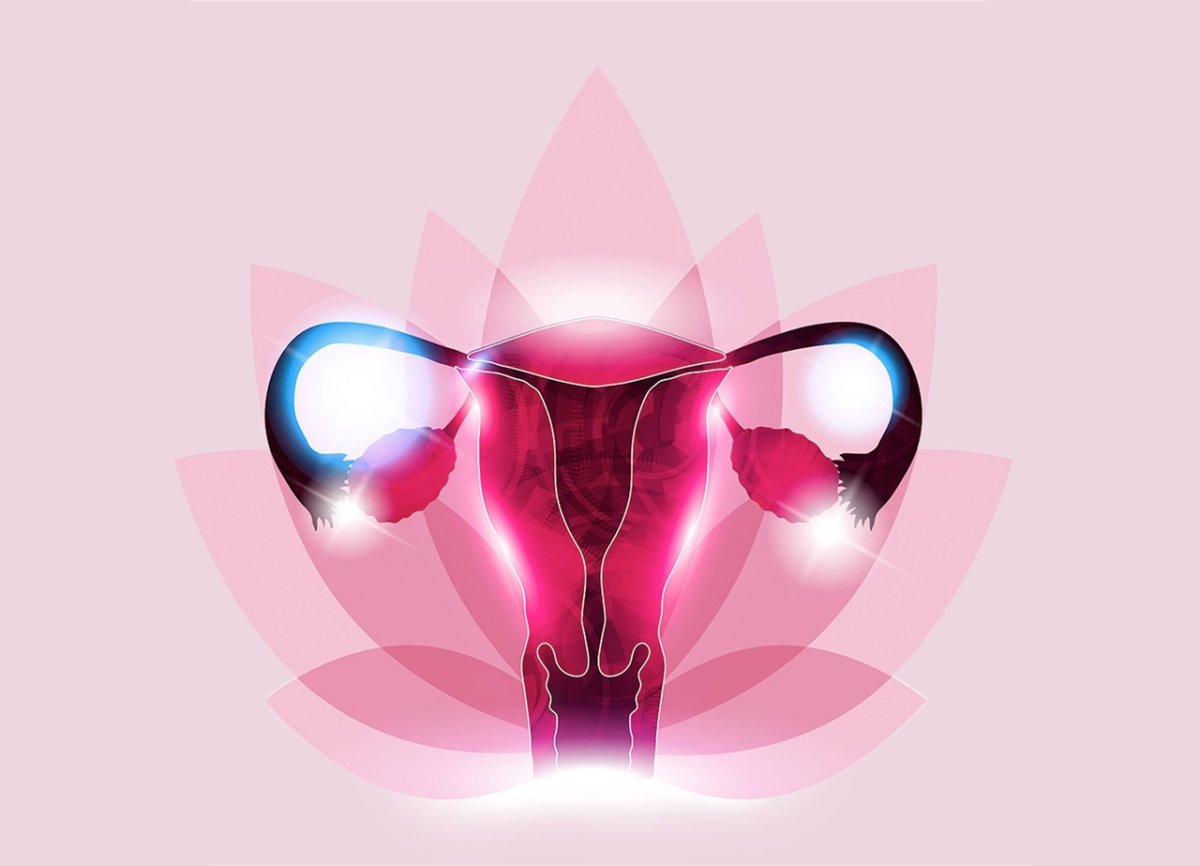 Женское здоровье картинки