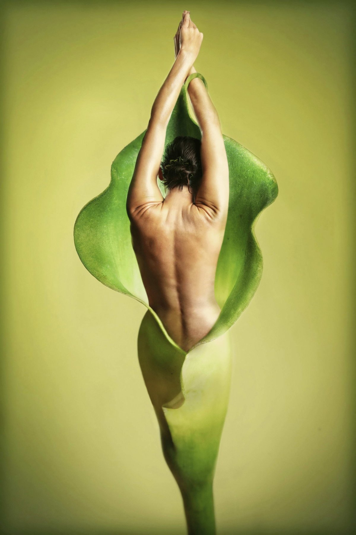 Красивые изгибы женского тела