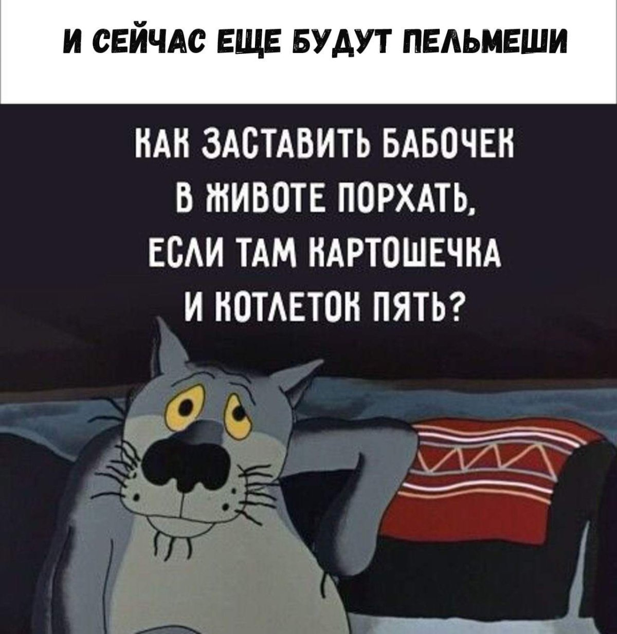 Волк спою
