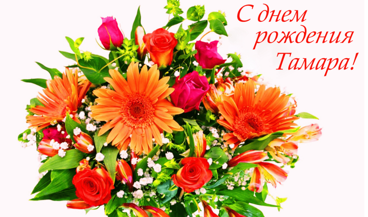 Букет роз на белом фоне