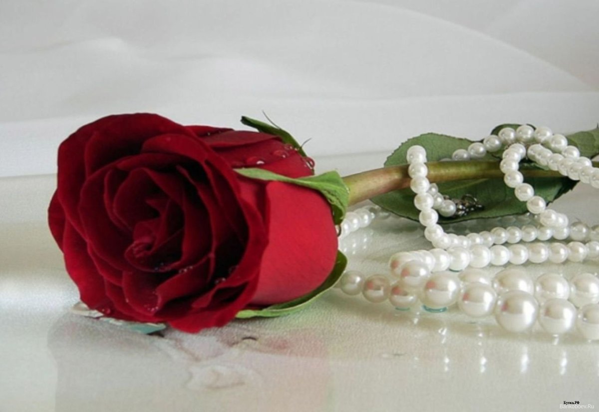 Открытки с днем рождения Томочка