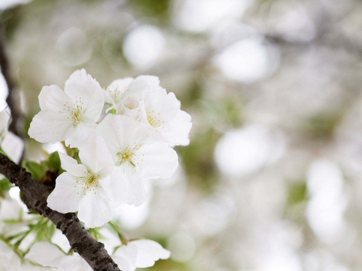 Иришка с днём рождения открытки