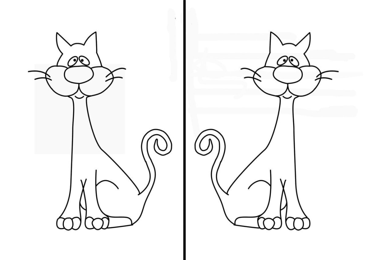 Трафарет бабочки для рисования