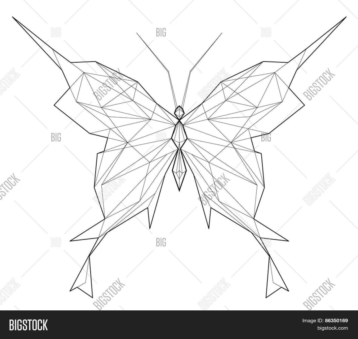 Симметрия для дошкольников
