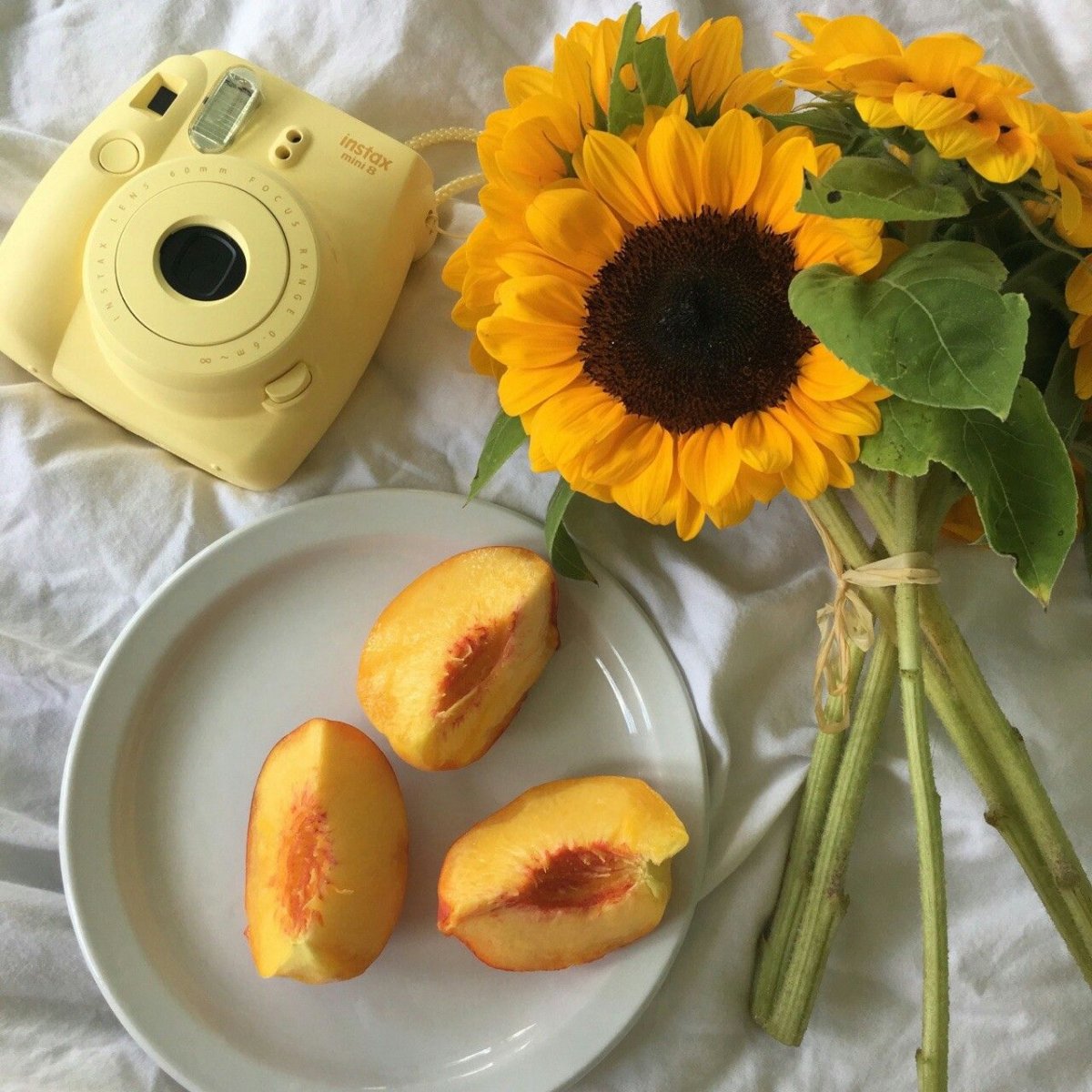 Эстетика персикового и розового