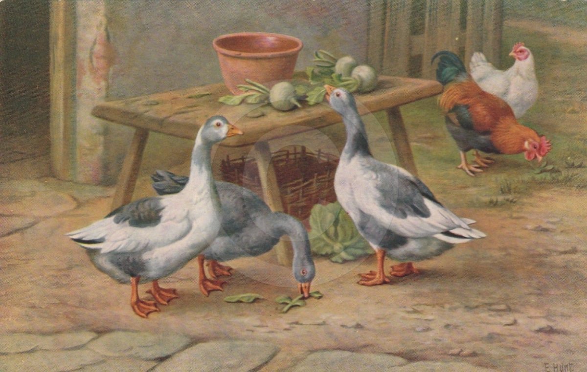 Гуси для декупажа