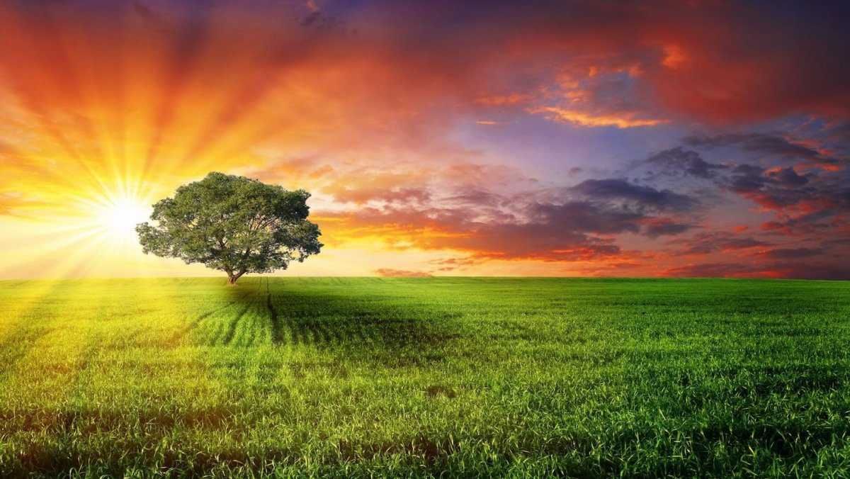 Закат в поле