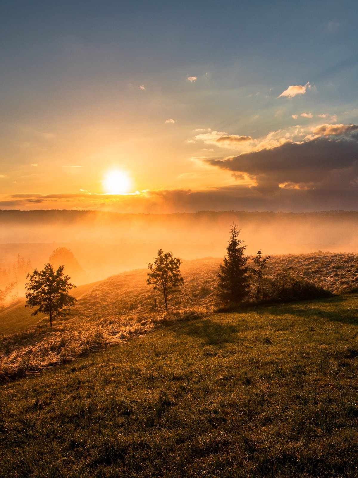 Иван Бунин рассвет