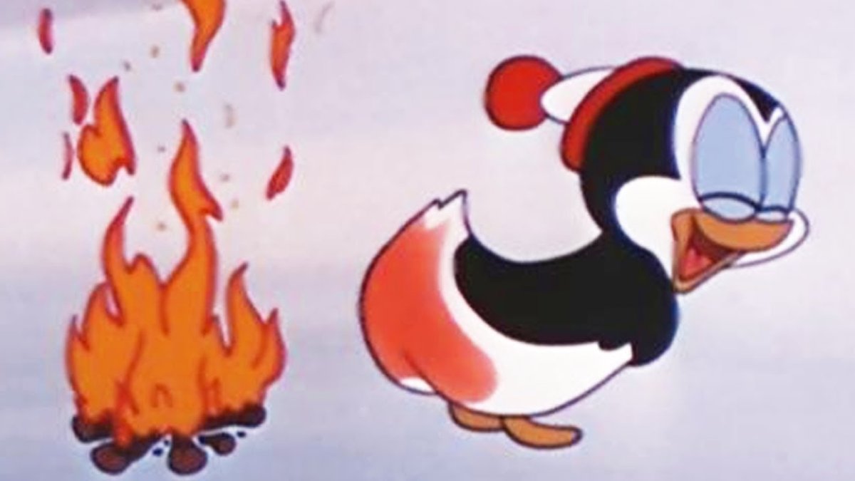 Чилли Вилли утки бройлерные