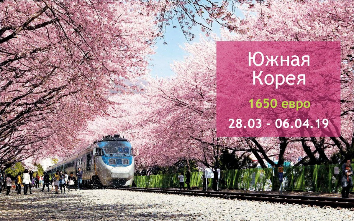 Путешествие в Южную Корею