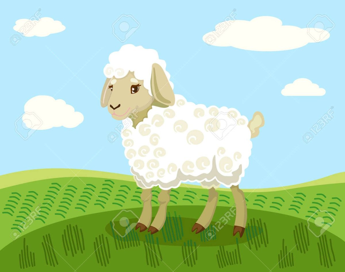 Черная овца