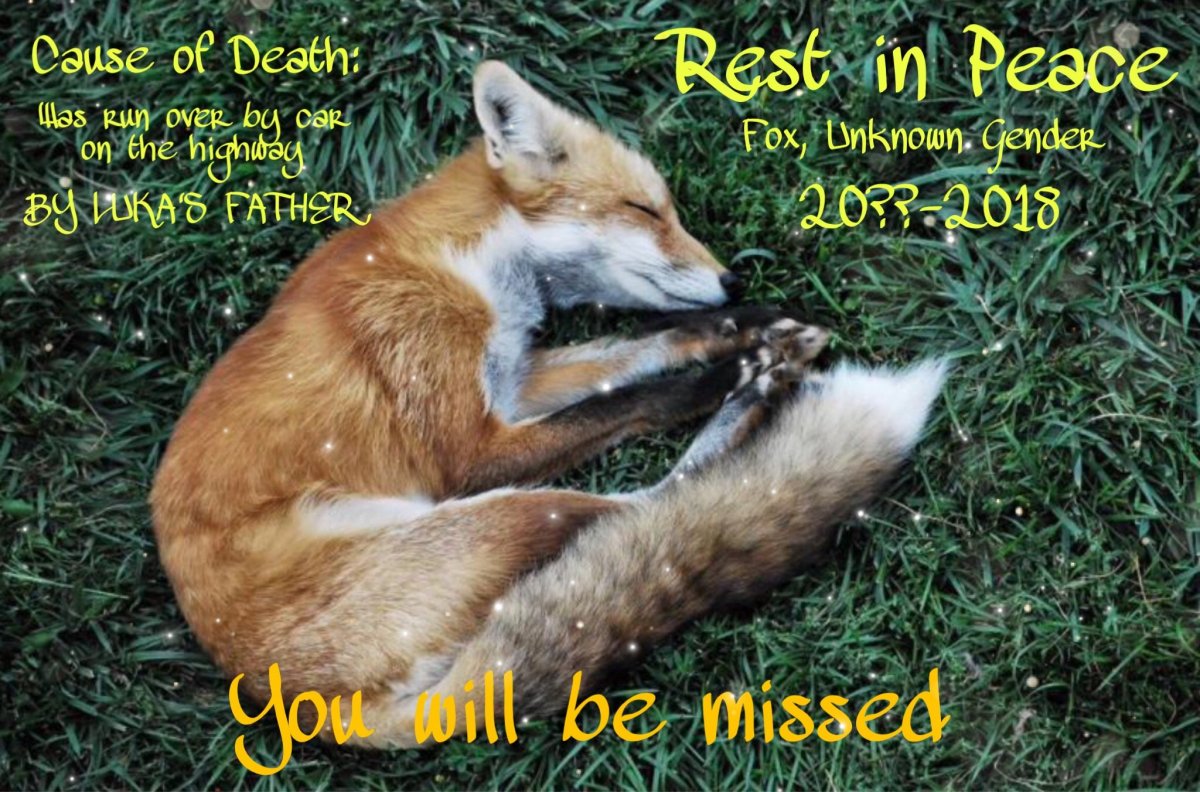 Лисичка спит иллюстрация