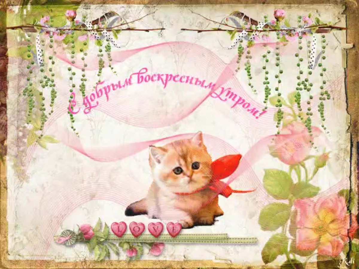 Открытки с добрым утром воскресенья