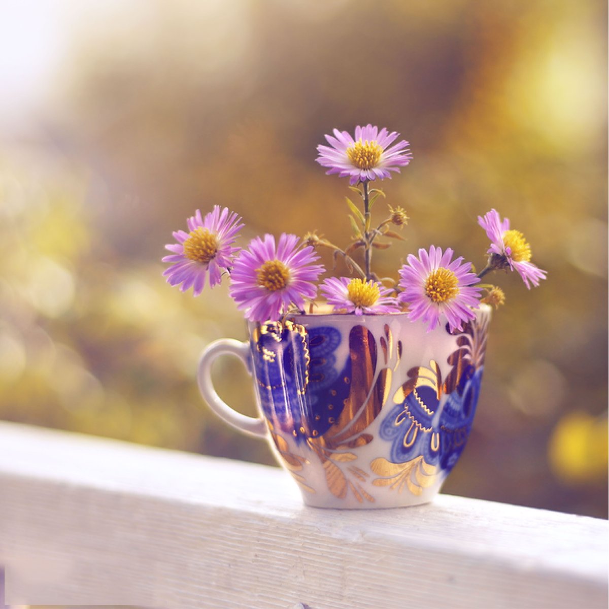 Воскресенье приколы