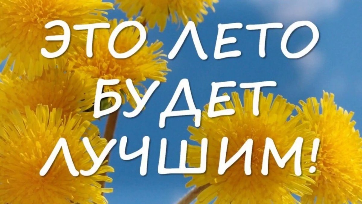 Это лето будет лучшим