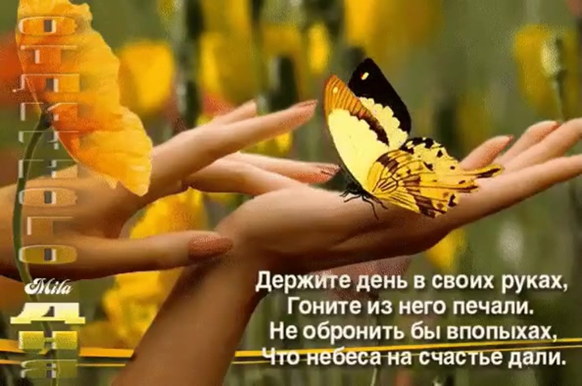 Держите счастье в своих руках