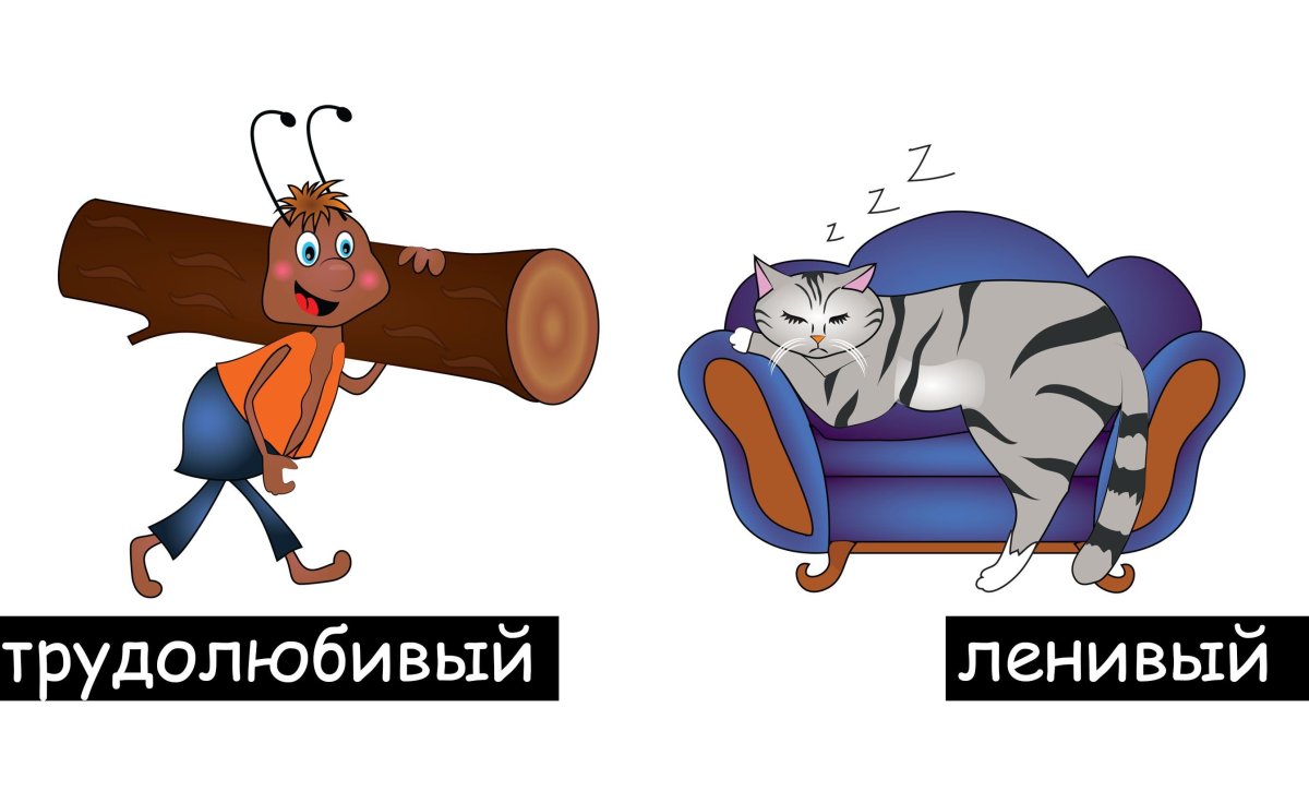 Трудолюбие и лень