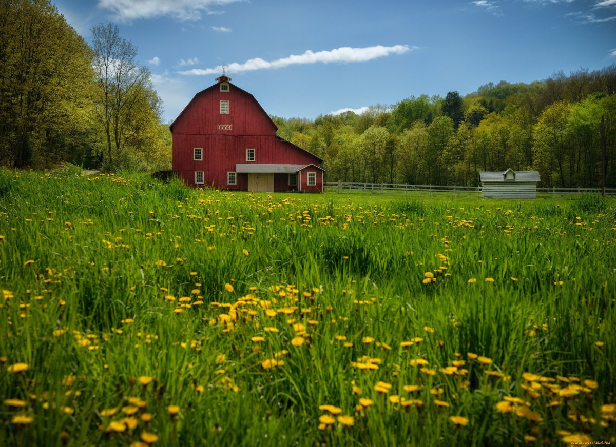Нидерланды Заансе-Сханс (г. Зандам)