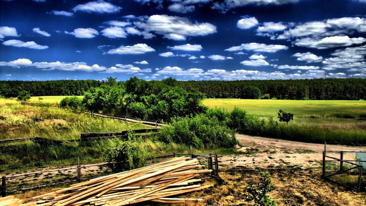 Русская деревня глубинка лето