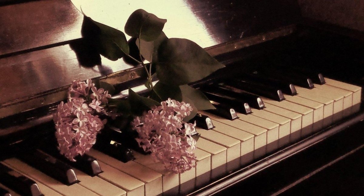 Любовь к Музыке Эстетика