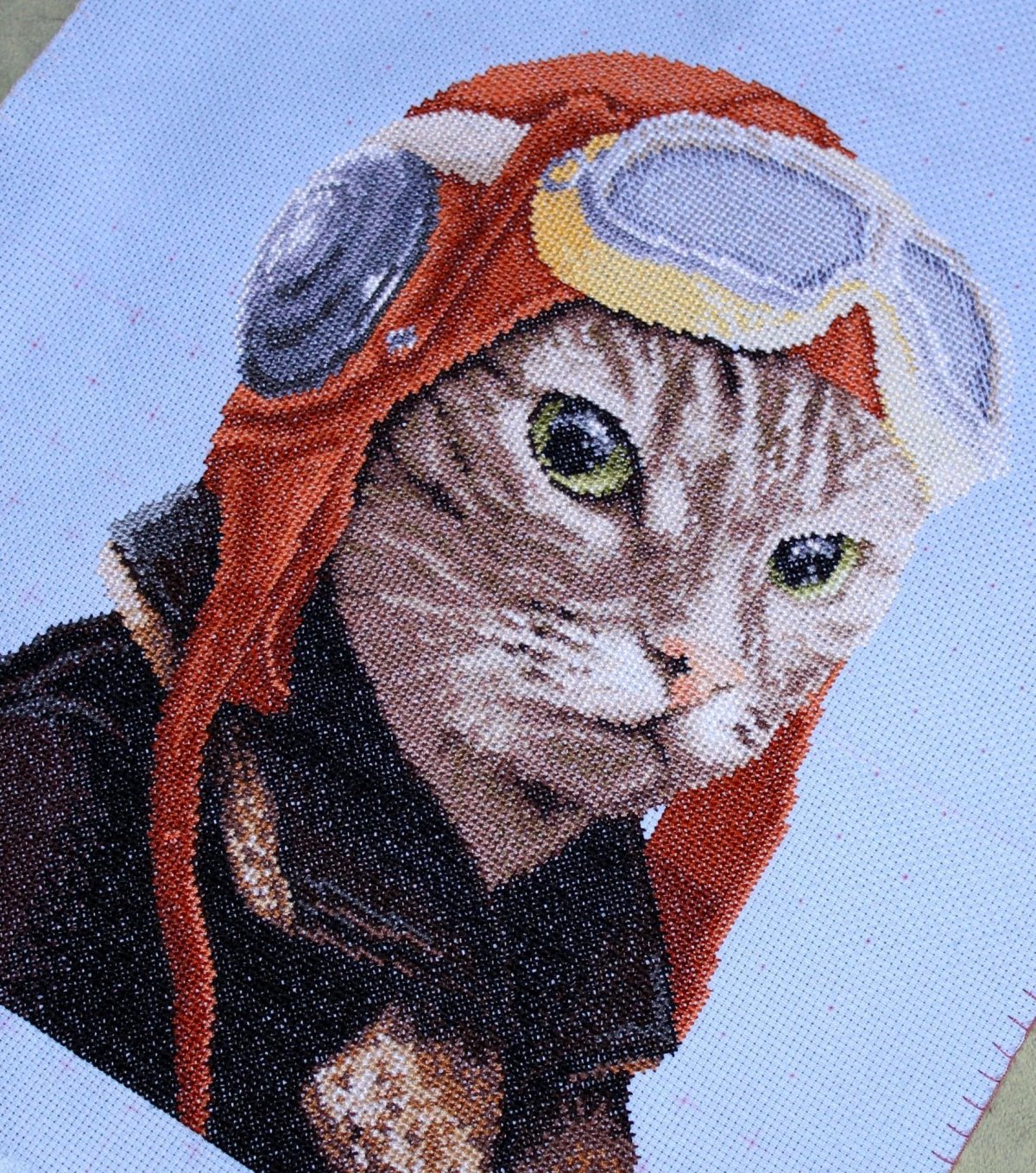 Кот Симба Владивосток