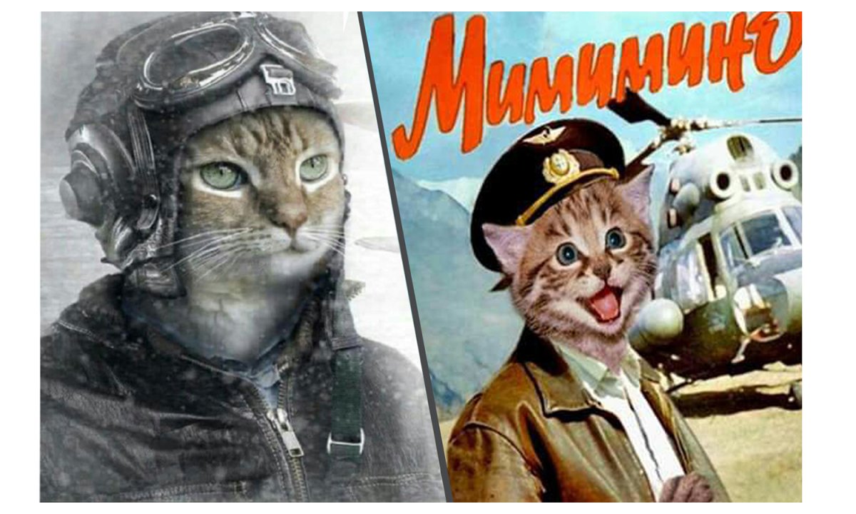 Милый котик в военной форме