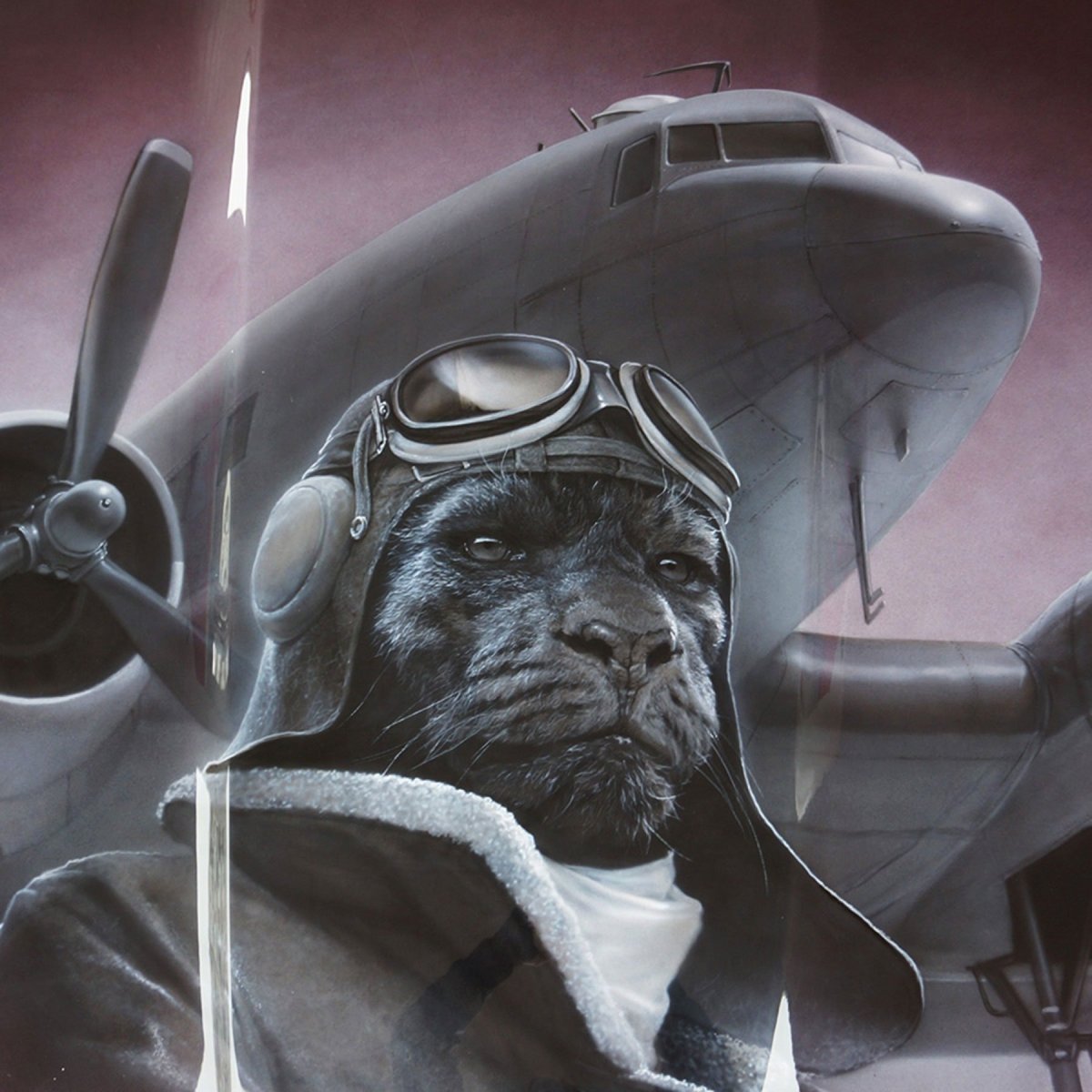 Кот в гоночном шлеме