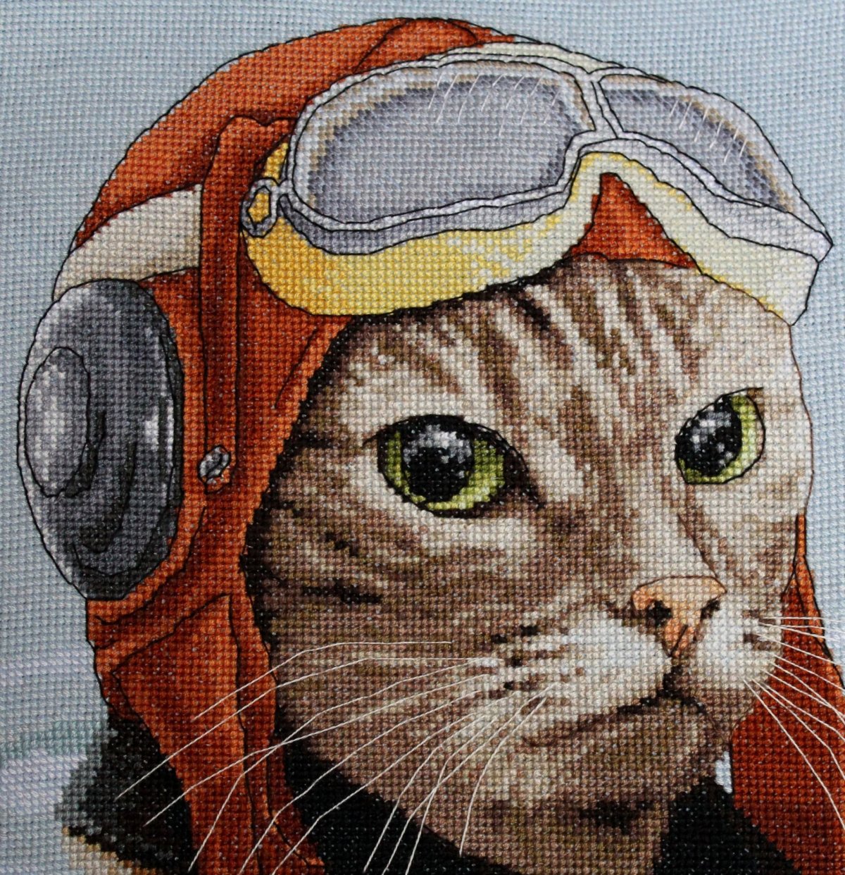 Алмазная мозаика кот летчик