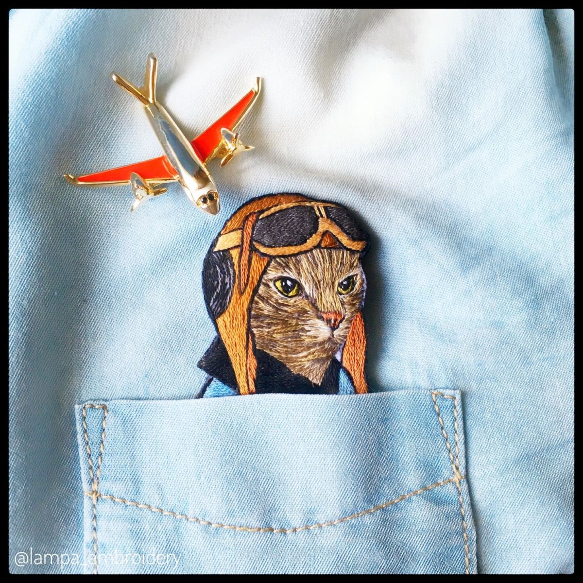 Кот авантюрист