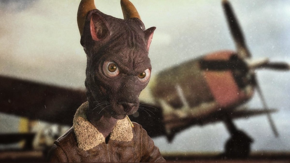 Кошка Капитан