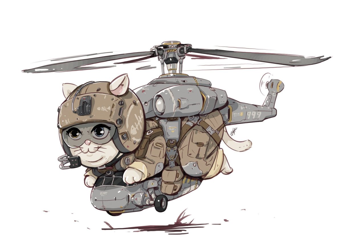 Кот в шлеме