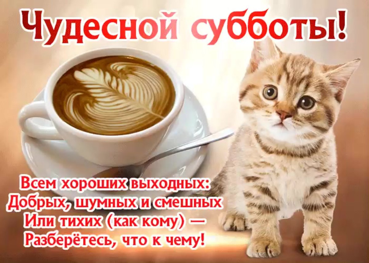 Пожелания с добрым утром прикольные